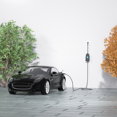 पोर्टेबल कार चार्जर इलेक्ट्रिक कारों के लिए अनुकूलन योग्य AC 3.5kw 16A EV चार्जर